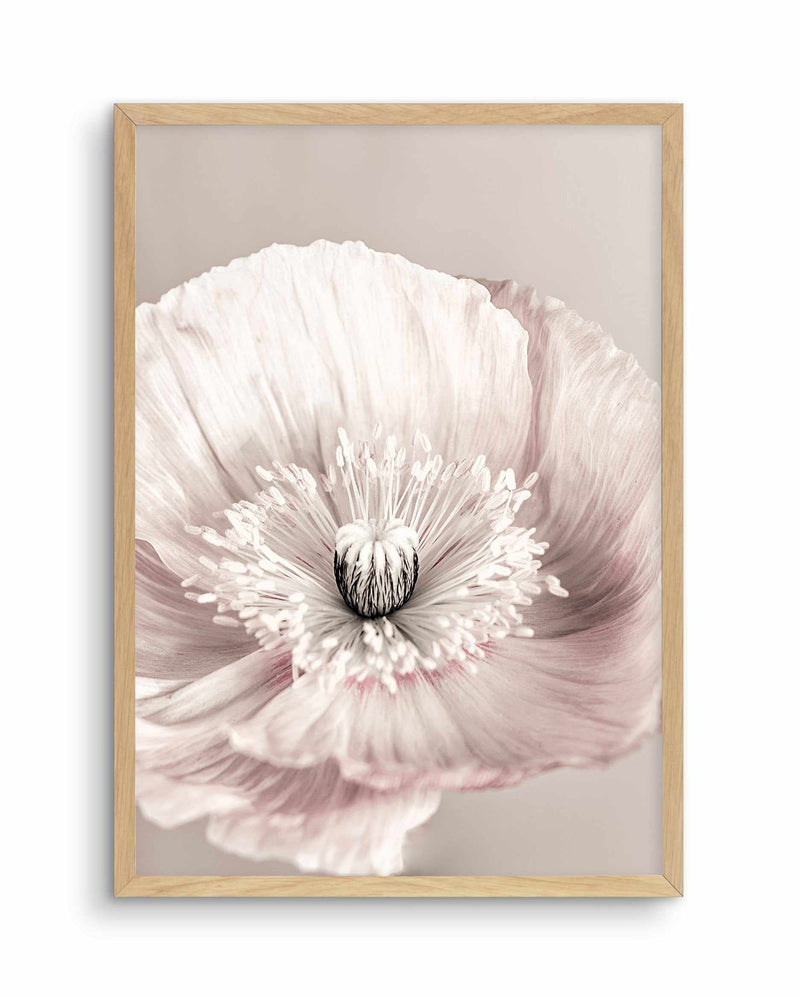 Belle Fleur Art Print-PRINT-Olive et Oriel-Olive et Oriel-A5 | 5.8" x 8.3" | 14.8 x 21cm-Oak-With White Border-Buy-Australian-Art-Prints-Online-with-Olive-et-Oriel-Your-Artwork-Specialists-Austrailia-Decorate-With-Coastal-Photo-Wall-Art-Prints-From-Our-Beach-House-Artwork-Collection-Fine-Poster-and-Framed-Artwork