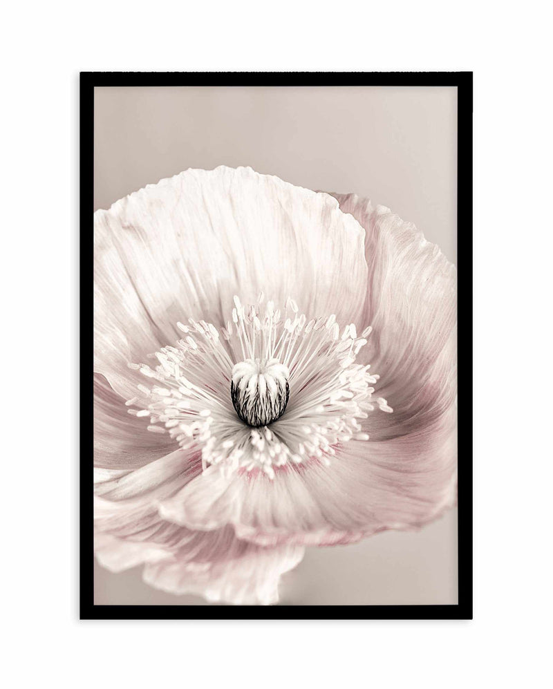 Belle Fleur Art Print-PRINT-Olive et Oriel-Olive et Oriel-A5 | 5.8" x 8.3" | 14.8 x 21cm-Black-With White Border-Buy-Australian-Art-Prints-Online-with-Olive-et-Oriel-Your-Artwork-Specialists-Austrailia-Decorate-With-Coastal-Photo-Wall-Art-Prints-From-Our-Beach-House-Artwork-Collection-Fine-Poster-and-Framed-Artwork