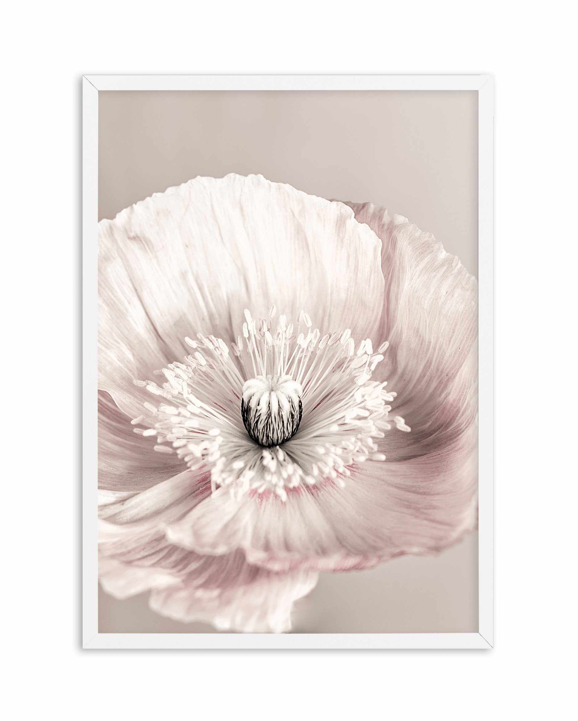 Belle Fleur Art Print-PRINT-Olive et Oriel-Olive et Oriel-A5 | 5.8" x 8.3" | 14.8 x 21cm-White-With White Border-Buy-Australian-Art-Prints-Online-with-Olive-et-Oriel-Your-Artwork-Specialists-Austrailia-Decorate-With-Coastal-Photo-Wall-Art-Prints-From-Our-Beach-House-Artwork-Collection-Fine-Poster-and-Framed-Artwork