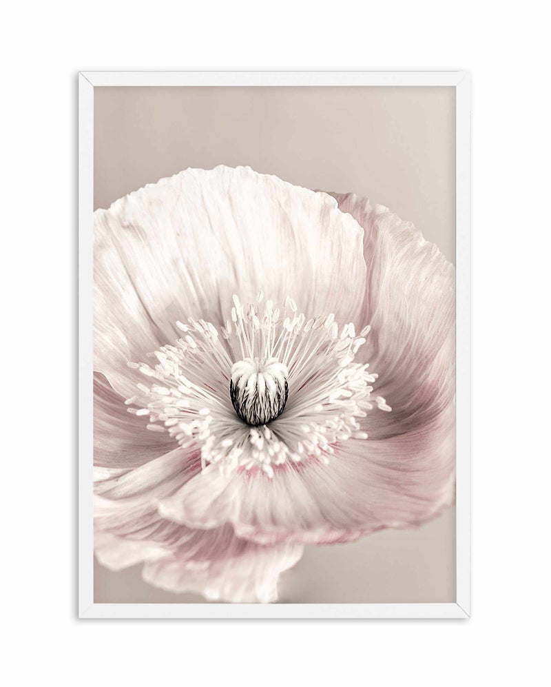 Belle Fleur Art Print-PRINT-Olive et Oriel-Olive et Oriel-A5 | 5.8" x 8.3" | 14.8 x 21cm-White-With White Border-Buy-Australian-Art-Prints-Online-with-Olive-et-Oriel-Your-Artwork-Specialists-Austrailia-Decorate-With-Coastal-Photo-Wall-Art-Prints-From-Our-Beach-House-Artwork-Collection-Fine-Poster-and-Framed-Artwork