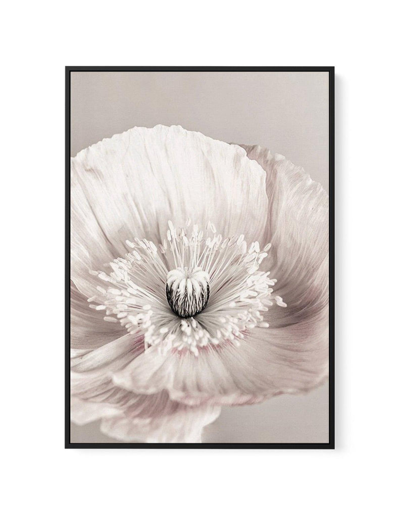 Belle Fleur | Framed Canvas-CANVAS-You can shop wall art online with Olive et Oriel for everything from abstract art to fun kids wall art. Our beautiful modern art prints and canvas art are available from large canvas prints to wall art paintings and our proudly Australian artwork collection offers only the highest quality framed large wall art and canvas art Australia - You can buy fashion photography prints or Hampton print posters and paintings on canvas from Olive et Oriel and have them deli