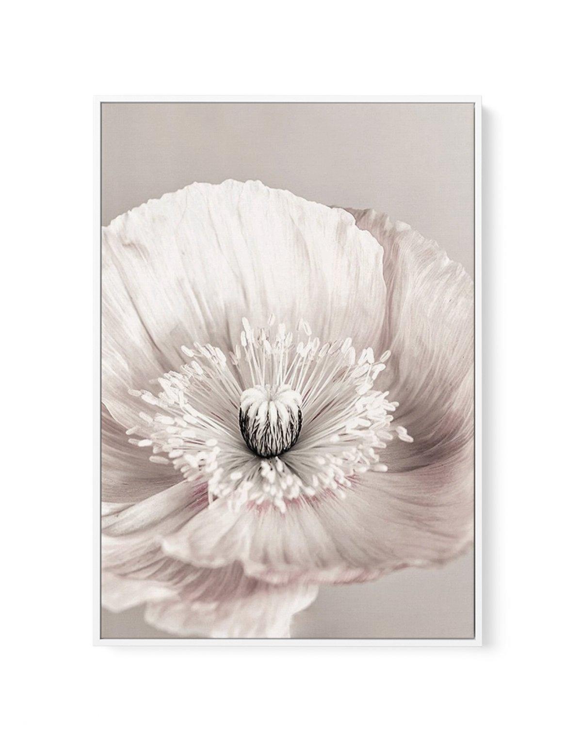 Belle Fleur | Framed Canvas-CANVAS-You can shop wall art online with Olive et Oriel for everything from abstract art to fun kids wall art. Our beautiful modern art prints and canvas art are available from large canvas prints to wall art paintings and our proudly Australian artwork collection offers only the highest quality framed large wall art and canvas art Australia - You can buy fashion photography prints or Hampton print posters and paintings on canvas from Olive et Oriel and have them deli