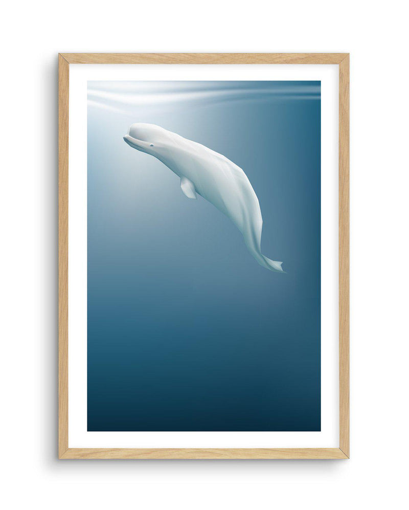 Beluga | Graphic Whales Collection Art Print-PRINT-Olive et Oriel-Olive et Oriel-A5 | 5.8" x 8.3" | 14.8 x 21cm-Oak-With White Border-Buy-Australian-Art-Prints-Online-with-Olive-et-Oriel-Your-Artwork-Specialists-Austrailia-Decorate-With-Coastal-Photo-Wall-Art-Prints-From-Our-Beach-House-Artwork-Collection-Fine-Poster-and-Framed-Artwork