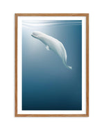 Beluga | Graphic Whales Collection Art Print-PRINT-Olive et Oriel-Olive et Oriel-50x70 cm | 19.6" x 27.5"-Walnut-With White Border-Buy-Australian-Art-Prints-Online-with-Olive-et-Oriel-Your-Artwork-Specialists-Austrailia-Decorate-With-Coastal-Photo-Wall-Art-Prints-From-Our-Beach-House-Artwork-Collection-Fine-Poster-and-Framed-Artwork