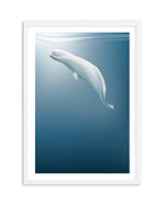 Beluga | Graphic Whales Collection Art Print-PRINT-Olive et Oriel-Olive et Oriel-A5 | 5.8" x 8.3" | 14.8 x 21cm-White-With White Border-Buy-Australian-Art-Prints-Online-with-Olive-et-Oriel-Your-Artwork-Specialists-Austrailia-Decorate-With-Coastal-Photo-Wall-Art-Prints-From-Our-Beach-House-Artwork-Collection-Fine-Poster-and-Framed-Artwork