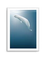 Beluga | Graphic Whales Collection Art Print-PRINT-Olive et Oriel-Olive et Oriel-A5 | 5.8" x 8.3" | 14.8 x 21cm-Unframed Art Print-With White Border-Buy-Australian-Art-Prints-Online-with-Olive-et-Oriel-Your-Artwork-Specialists-Austrailia-Decorate-With-Coastal-Photo-Wall-Art-Prints-From-Our-Beach-House-Artwork-Collection-Fine-Poster-and-Framed-Artwork