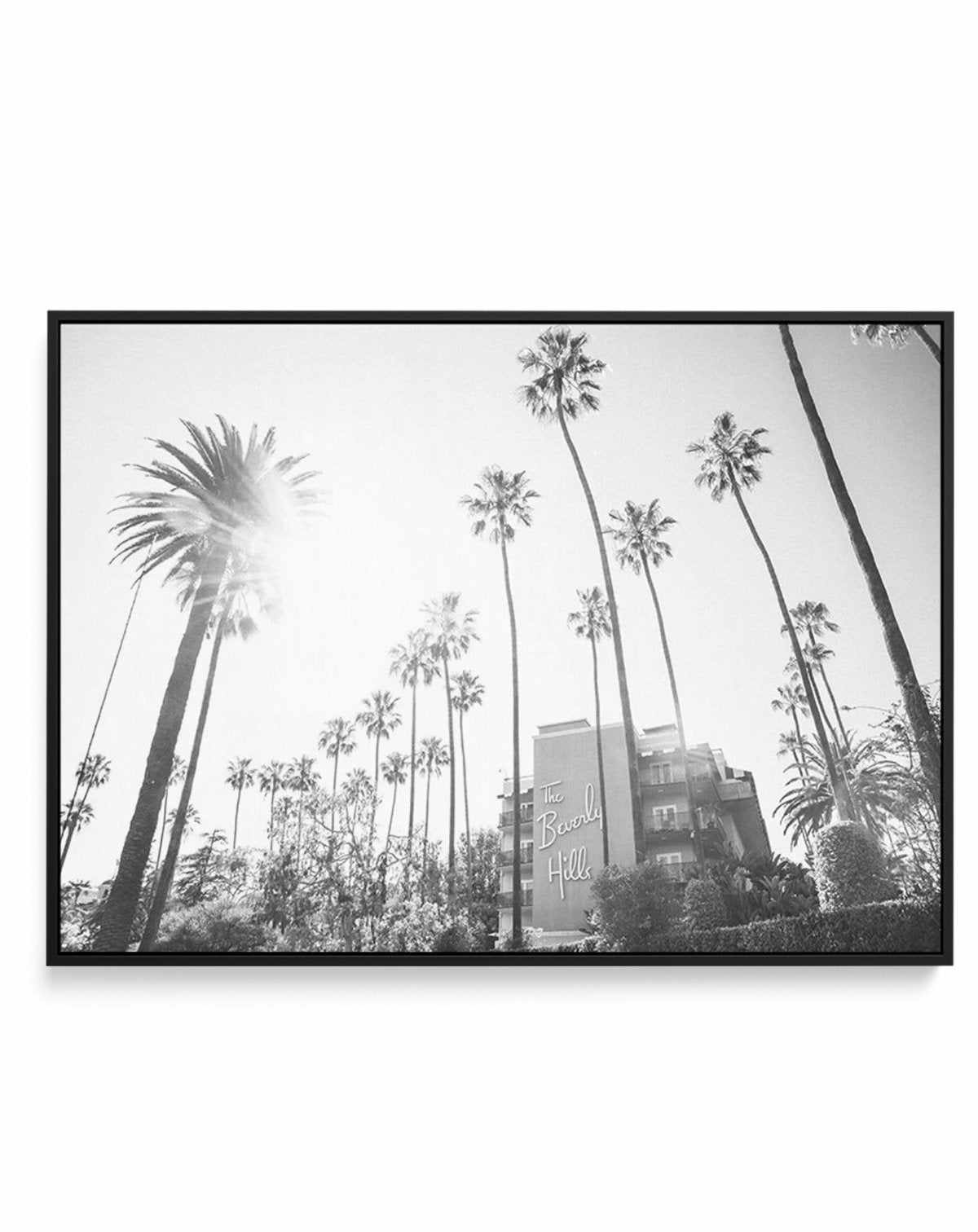 Beverly Hills Hotel I B&W | LS | Framed Canvas-CANVAS-You can shop wall art online with Olive et Oriel for everything from abstract art to fun kids wall art. Our beautiful modern art prints and canvas art are available from large canvas prints to wall art paintings and our proudly Australian artwork collection offers only the highest quality framed large wall art and canvas art Australia - You can buy fashion photography prints or Hampton print posters and paintings on canvas from Olive et Oriel