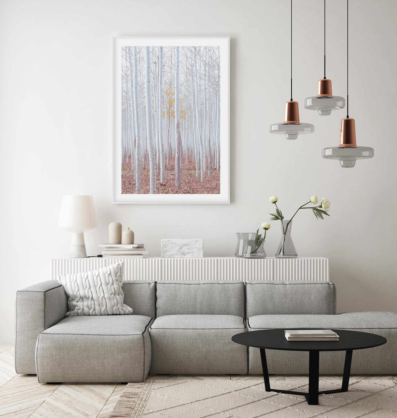 Birch Trees Art Print-PRINT-Olive et Oriel-Olive et Oriel-Buy-Australian-Art-Prints-Online-with-Olive-et-Oriel-Your-Artwork-Specialists-Austrailia-Decorate-With-Coastal-Photo-Wall-Art-Prints-From-Our-Beach-House-Artwork-Collection-Fine-Poster-and-Framed-Artwork