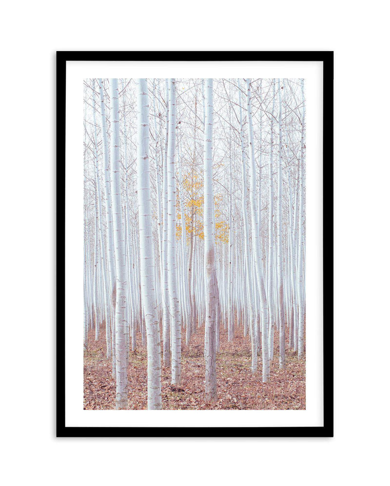 Birch Trees Art Print-PRINT-Olive et Oriel-Olive et Oriel-A5 | 5.8" x 8.3" | 14.8 x 21cm-Black-With White Border-Buy-Australian-Art-Prints-Online-with-Olive-et-Oriel-Your-Artwork-Specialists-Austrailia-Decorate-With-Coastal-Photo-Wall-Art-Prints-From-Our-Beach-House-Artwork-Collection-Fine-Poster-and-Framed-Artwork