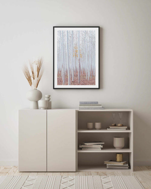 Birch Trees Art Print-PRINT-Olive et Oriel-Olive et Oriel-Buy-Australian-Art-Prints-Online-with-Olive-et-Oriel-Your-Artwork-Specialists-Austrailia-Decorate-With-Coastal-Photo-Wall-Art-Prints-From-Our-Beach-House-Artwork-Collection-Fine-Poster-and-Framed-Artwork