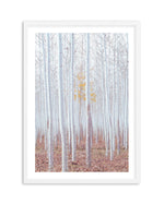 Birch Trees Art Print-PRINT-Olive et Oriel-Olive et Oriel-A5 | 5.8" x 8.3" | 14.8 x 21cm-White-With White Border-Buy-Australian-Art-Prints-Online-with-Olive-et-Oriel-Your-Artwork-Specialists-Austrailia-Decorate-With-Coastal-Photo-Wall-Art-Prints-From-Our-Beach-House-Artwork-Collection-Fine-Poster-and-Framed-Artwork