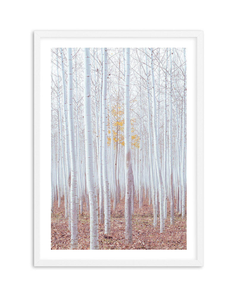 Birch Trees Art Print-PRINT-Olive et Oriel-Olive et Oriel-A5 | 5.8" x 8.3" | 14.8 x 21cm-White-With White Border-Buy-Australian-Art-Prints-Online-with-Olive-et-Oriel-Your-Artwork-Specialists-Austrailia-Decorate-With-Coastal-Photo-Wall-Art-Prints-From-Our-Beach-House-Artwork-Collection-Fine-Poster-and-Framed-Artwork