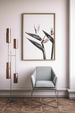 Bird of Paradise Art Print-PRINT-Olive et Oriel-Olive et Oriel-Buy-Australian-Art-Prints-Online-with-Olive-et-Oriel-Your-Artwork-Specialists-Austrailia-Decorate-With-Coastal-Photo-Wall-Art-Prints-From-Our-Beach-House-Artwork-Collection-Fine-Poster-and-Framed-Artwork