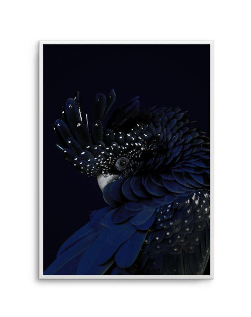 Black Cockatoo Art Print-PRINT-Olive et Oriel-Olive et Oriel-A5 | 5.8" x 8.3" | 14.8 x 21cm-Unframed Art Print-With White Border-Buy-Australian-Art-Prints-Online-with-Olive-et-Oriel-Your-Artwork-Specialists-Austrailia-Decorate-With-Coastal-Photo-Wall-Art-Prints-From-Our-Beach-House-Artwork-Collection-Fine-Poster-and-Framed-Artwork