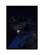 Black Cockatoo Art Print-PRINT-Olive et Oriel-Olive et Oriel-A5 | 5.8" x 8.3" | 14.8 x 21cm-Black-With White Border-Buy-Australian-Art-Prints-Online-with-Olive-et-Oriel-Your-Artwork-Specialists-Austrailia-Decorate-With-Coastal-Photo-Wall-Art-Prints-From-Our-Beach-House-Artwork-Collection-Fine-Poster-and-Framed-Artwork