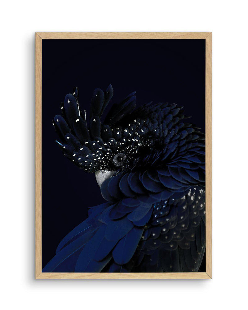 Black Cockatoo Art Print-PRINT-Olive et Oriel-Olive et Oriel-A5 | 5.8" x 8.3" | 14.8 x 21cm-Oak-With White Border-Buy-Australian-Art-Prints-Online-with-Olive-et-Oriel-Your-Artwork-Specialists-Austrailia-Decorate-With-Coastal-Photo-Wall-Art-Prints-From-Our-Beach-House-Artwork-Collection-Fine-Poster-and-Framed-Artwork