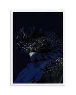 Black Cockatoo Art Print-PRINT-Olive et Oriel-Olive et Oriel-A5 | 5.8" x 8.3" | 14.8 x 21cm-White-With White Border-Buy-Australian-Art-Prints-Online-with-Olive-et-Oriel-Your-Artwork-Specialists-Austrailia-Decorate-With-Coastal-Photo-Wall-Art-Prints-From-Our-Beach-House-Artwork-Collection-Fine-Poster-and-Framed-Artwork