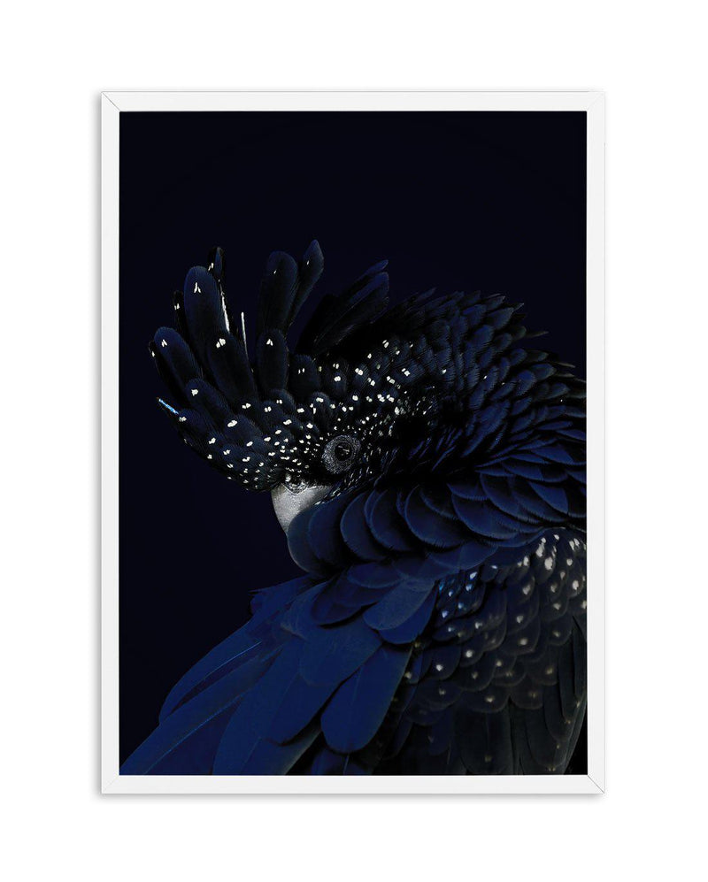 Black Cockatoo Art Print-PRINT-Olive et Oriel-Olive et Oriel-A5 | 5.8" x 8.3" | 14.8 x 21cm-White-With White Border-Buy-Australian-Art-Prints-Online-with-Olive-et-Oriel-Your-Artwork-Specialists-Austrailia-Decorate-With-Coastal-Photo-Wall-Art-Prints-From-Our-Beach-House-Artwork-Collection-Fine-Poster-and-Framed-Artwork