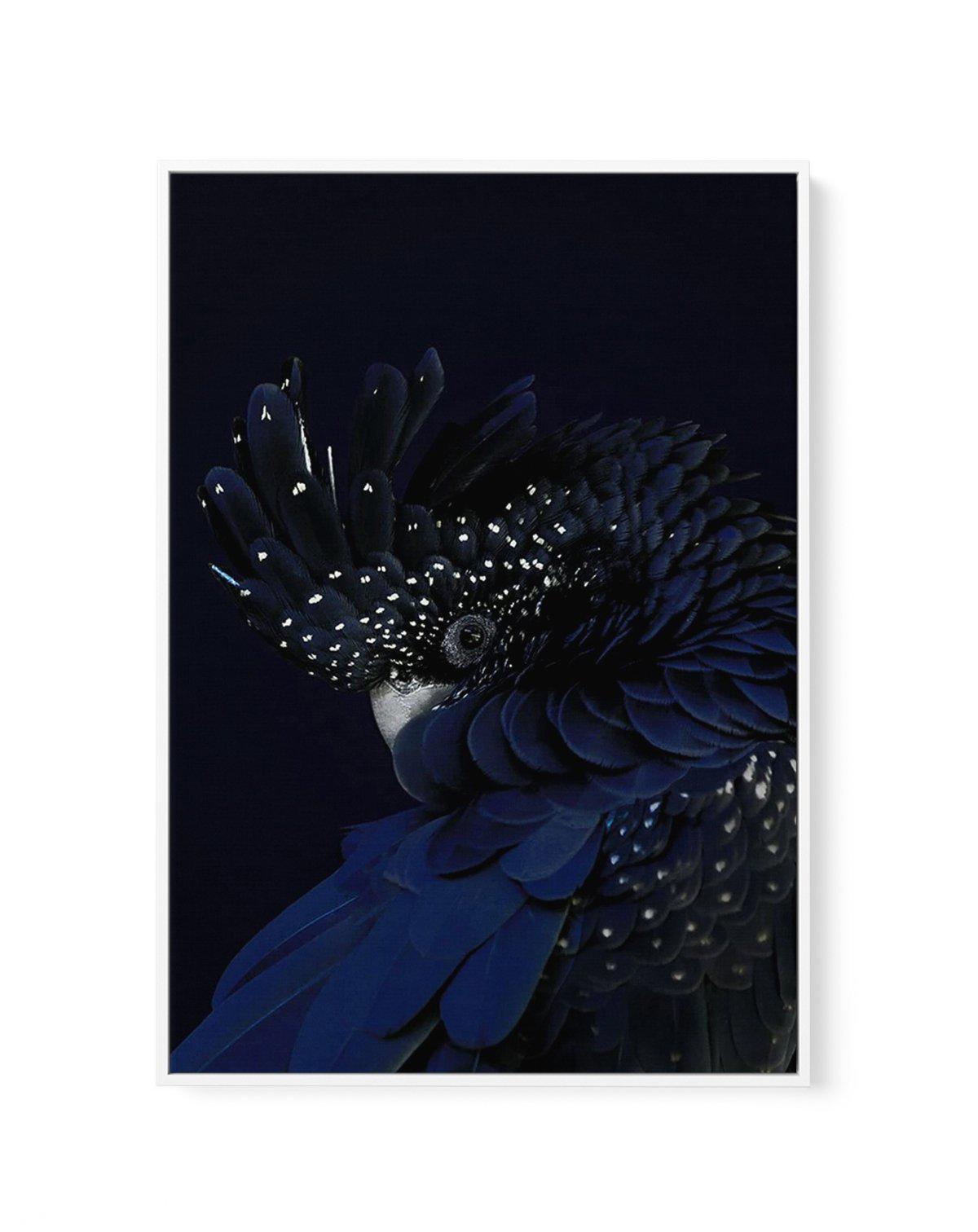 Black Cockatoo | Framed Canvas-CANVAS-You can shop wall art online with Olive et Oriel for everything from abstract art to fun kids wall art. Our beautiful modern art prints and canvas art are available from large canvas prints to wall art paintings and our proudly Australian artwork collection offers only the highest quality framed large wall art and canvas art Australia - You can buy fashion photography prints or Hampton print posters and paintings on canvas from Olive et Oriel and have them d