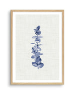 Blue Eucalyptus Art Print-PRINT-Olive et Oriel-Olive et Oriel-A5 | 5.8" x 8.3" | 14.8 x 21cm-Oak-With White Border-Buy-Australian-Art-Prints-Online-with-Olive-et-Oriel-Your-Artwork-Specialists-Austrailia-Decorate-With-Coastal-Photo-Wall-Art-Prints-From-Our-Beach-House-Artwork-Collection-Fine-Poster-and-Framed-Artwork