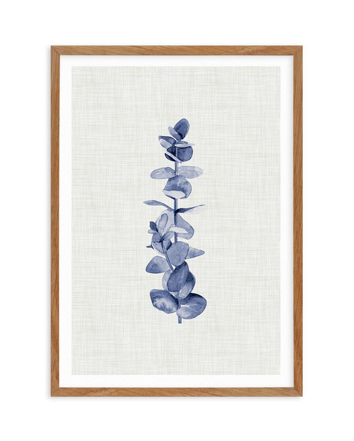 Blue Eucalyptus Art Print-PRINT-Olive et Oriel-Olive et Oriel-50x70 cm | 19.6" x 27.5"-Walnut-With White Border-Buy-Australian-Art-Prints-Online-with-Olive-et-Oriel-Your-Artwork-Specialists-Austrailia-Decorate-With-Coastal-Photo-Wall-Art-Prints-From-Our-Beach-House-Artwork-Collection-Fine-Poster-and-Framed-Artwork