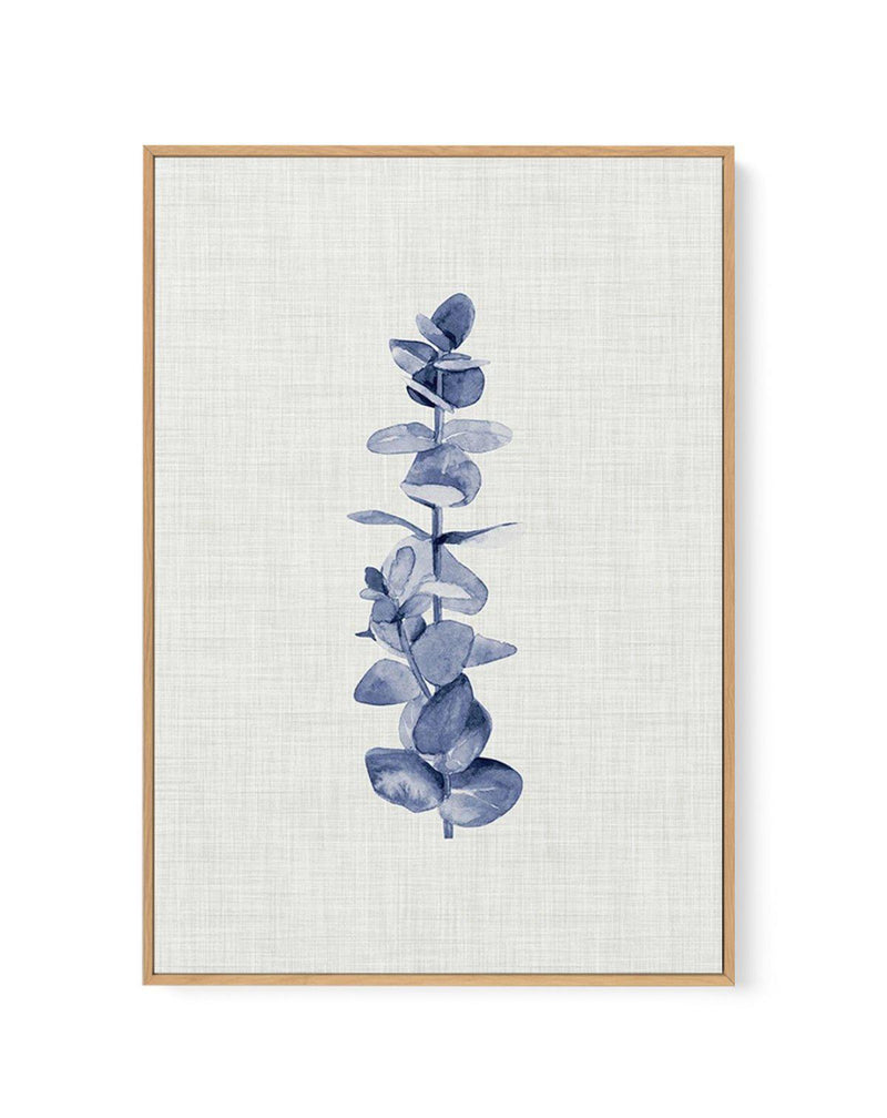 Blue Eucalyptus | Framed Canvas-CANVAS-You can shop wall art online with Olive et Oriel for everything from abstract art to fun kids wall art. Our beautiful modern art prints and canvas art are available from large canvas prints to wall art paintings and our proudly Australian artwork collection offers only the highest quality framed large wall art and canvas art Australia - You can buy fashion photography prints or Hampton print posters and paintings on canvas from Olive et Oriel and have them 
