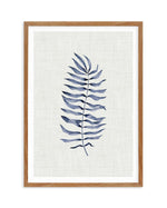 Blue Fern II Art Print-PRINT-Olive et Oriel-Olive et Oriel-50x70 cm | 19.6" x 27.5"-Walnut-With White Border-Buy-Australian-Art-Prints-Online-with-Olive-et-Oriel-Your-Artwork-Specialists-Austrailia-Decorate-With-Coastal-Photo-Wall-Art-Prints-From-Our-Beach-House-Artwork-Collection-Fine-Poster-and-Framed-Artwork