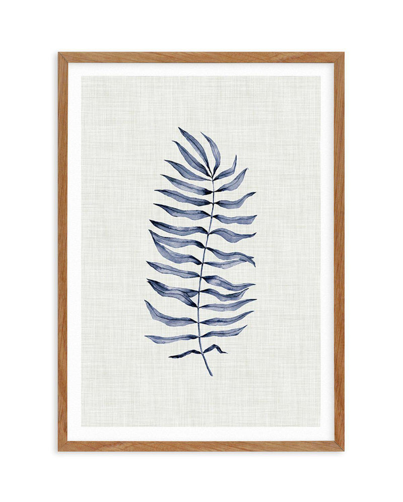 Blue Fern II Art Print-PRINT-Olive et Oriel-Olive et Oriel-50x70 cm | 19.6" x 27.5"-Walnut-With White Border-Buy-Australian-Art-Prints-Online-with-Olive-et-Oriel-Your-Artwork-Specialists-Austrailia-Decorate-With-Coastal-Photo-Wall-Art-Prints-From-Our-Beach-House-Artwork-Collection-Fine-Poster-and-Framed-Artwork