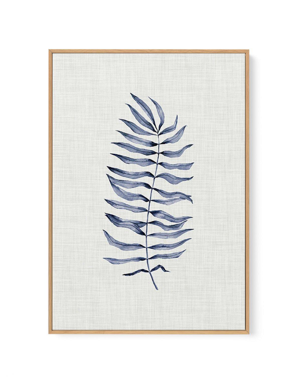 Blue Fern II | Framed Canvas-CANVAS-You can shop wall art online with Olive et Oriel for everything from abstract art to fun kids wall art. Our beautiful modern art prints and canvas art are available from large canvas prints to wall art paintings and our proudly Australian artwork collection offers only the highest quality framed large wall art and canvas art Australia - You can buy fashion photography prints or Hampton print posters and paintings on canvas from Olive et Oriel and have them del