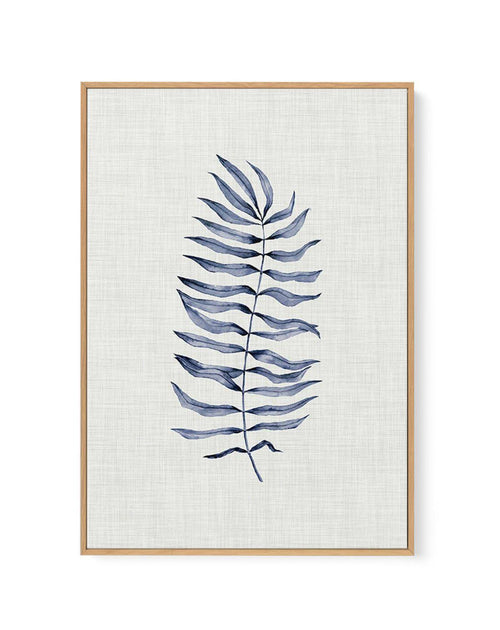 Blue Fern II | Framed Canvas-CANVAS-You can shop wall art online with Olive et Oriel for everything from abstract art to fun kids wall art. Our beautiful modern art prints and canvas art are available from large canvas prints to wall art paintings and our proudly Australian artwork collection offers only the highest quality framed large wall art and canvas art Australia - You can buy fashion photography prints or Hampton print posters and paintings on canvas from Olive et Oriel and have them del