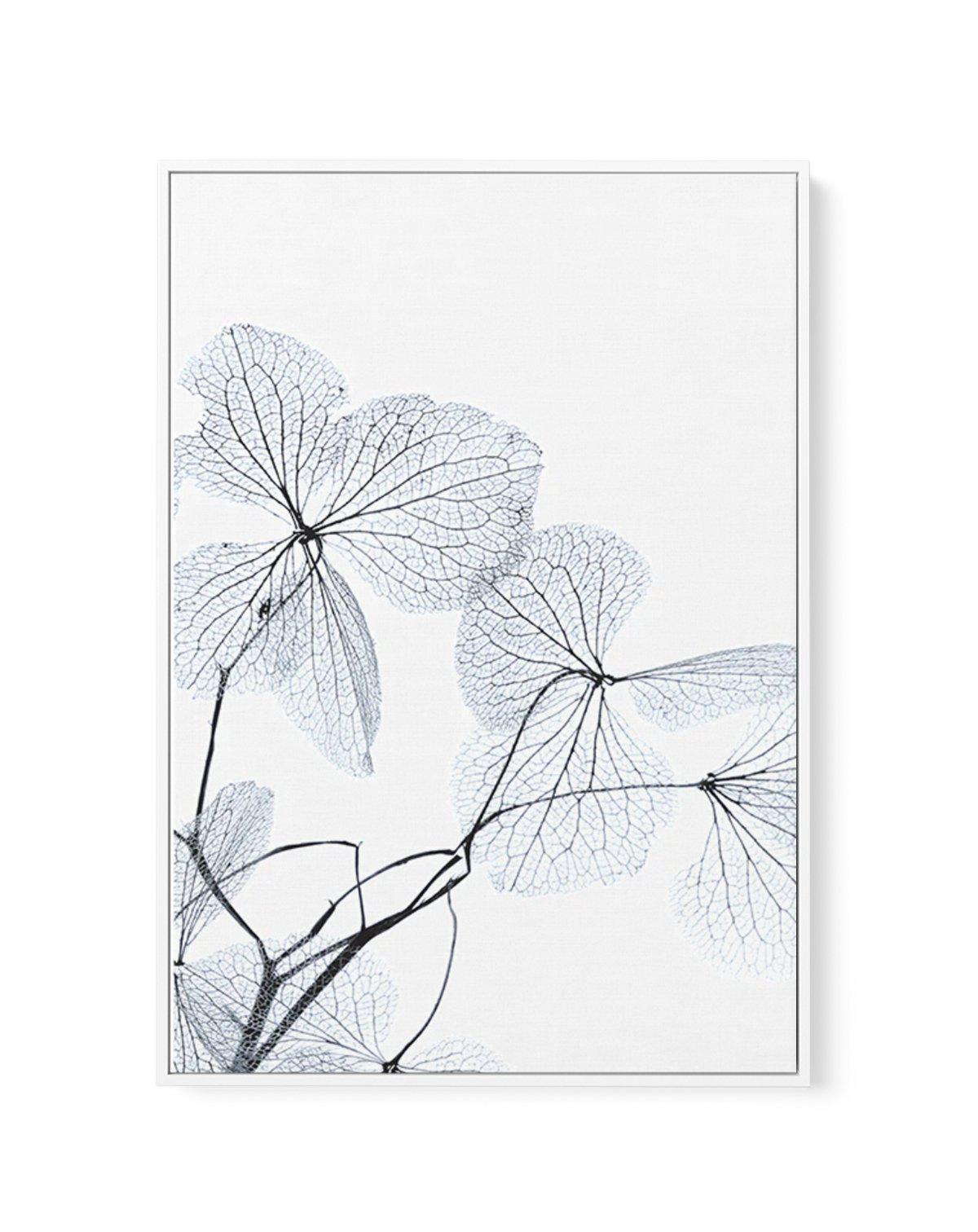 Blue Leaves I | Framed Canvas-CANVAS-You can shop wall art online with Olive et Oriel for everything from abstract art to fun kids wall art. Our beautiful modern art prints and canvas art are available from large canvas prints to wall art paintings and our proudly Australian artwork collection offers only the highest quality framed large wall art and canvas art Australia - You can buy fashion photography prints or Hampton print posters and paintings on canvas from Olive et Oriel and have them de