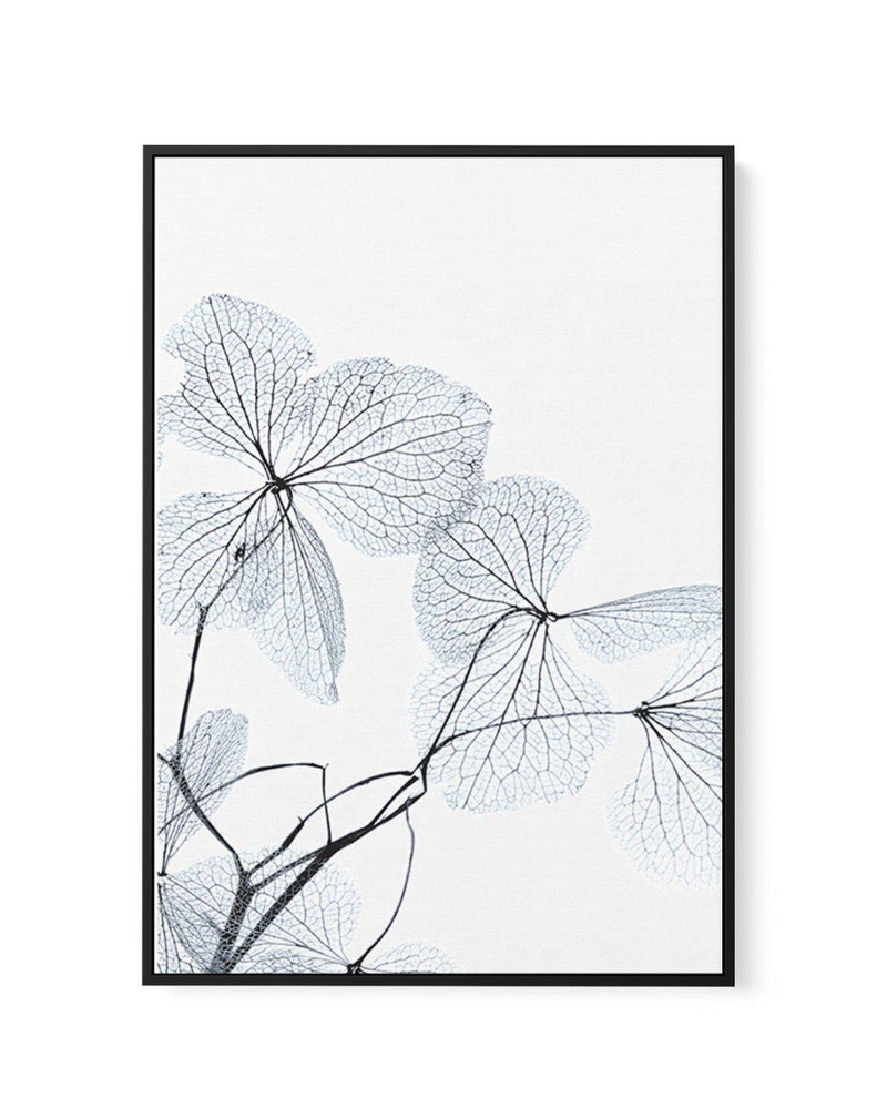 Blue Leaves I | Framed Canvas-CANVAS-You can shop wall art online with Olive et Oriel for everything from abstract art to fun kids wall art. Our beautiful modern art prints and canvas art are available from large canvas prints to wall art paintings and our proudly Australian artwork collection offers only the highest quality framed large wall art and canvas art Australia - You can buy fashion photography prints or Hampton print posters and paintings on canvas from Olive et Oriel and have them de