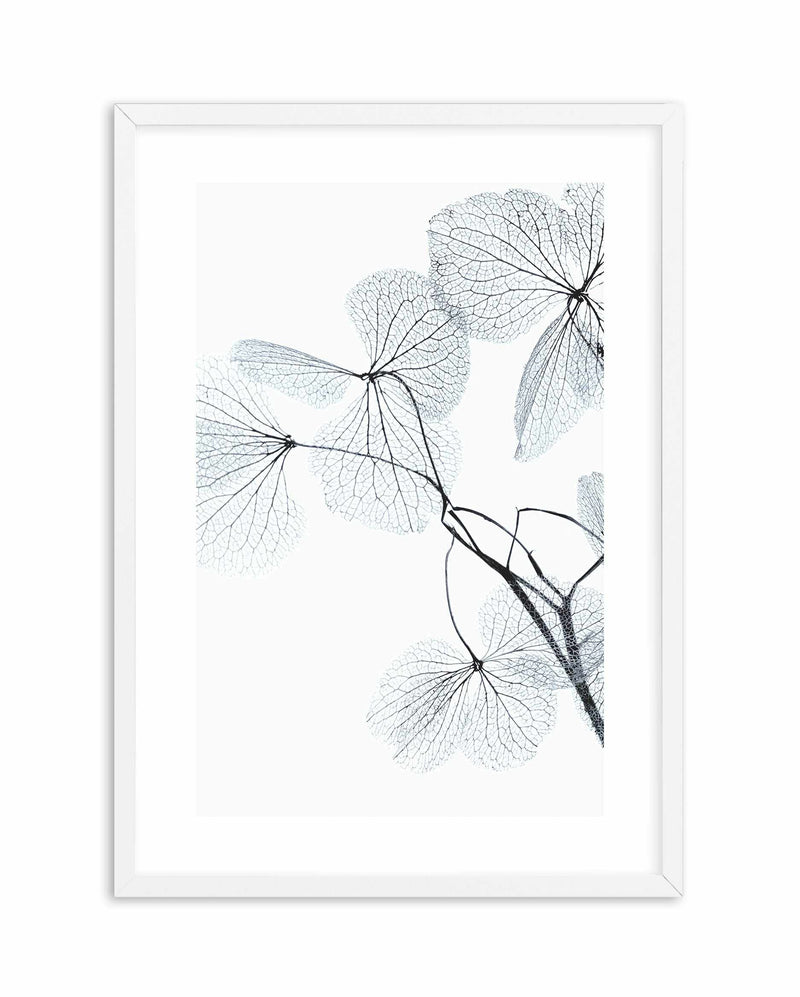 Blue Leaves II Art Print-PRINT-Olive et Oriel-Olive et Oriel-A5 | 5.8" x 8.3" | 14.8 x 21cm-White-With White Border-Buy-Australian-Art-Prints-Online-with-Olive-et-Oriel-Your-Artwork-Specialists-Austrailia-Decorate-With-Coastal-Photo-Wall-Art-Prints-From-Our-Beach-House-Artwork-Collection-Fine-Poster-and-Framed-Artwork