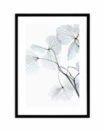 Blue Leaves II Art Print-PRINT-Olive et Oriel-Olive et Oriel-A5 | 5.8" x 8.3" | 14.8 x 21cm-Black-With White Border-Buy-Australian-Art-Prints-Online-with-Olive-et-Oriel-Your-Artwork-Specialists-Austrailia-Decorate-With-Coastal-Photo-Wall-Art-Prints-From-Our-Beach-House-Artwork-Collection-Fine-Poster-and-Framed-Artwork