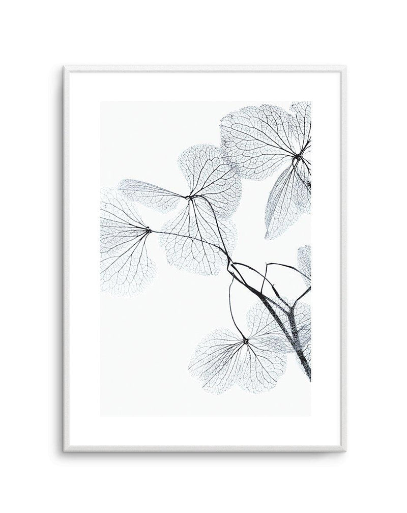 Blue Leaves II Art Print-PRINT-Olive et Oriel-Olive et Oriel-A5 | 5.8" x 8.3" | 14.8 x 21cm-Unframed Art Print-With White Border-Buy-Australian-Art-Prints-Online-with-Olive-et-Oriel-Your-Artwork-Specialists-Austrailia-Decorate-With-Coastal-Photo-Wall-Art-Prints-From-Our-Beach-House-Artwork-Collection-Fine-Poster-and-Framed-Artwork