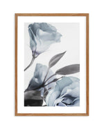 Blue Lisianthus I Art Print-PRINT-Olive et Oriel-Olive et Oriel-50x70 cm | 19.6" x 27.5"-Walnut-With White Border-Buy-Australian-Art-Prints-Online-with-Olive-et-Oriel-Your-Artwork-Specialists-Austrailia-Decorate-With-Coastal-Photo-Wall-Art-Prints-From-Our-Beach-House-Artwork-Collection-Fine-Poster-and-Framed-Artwork