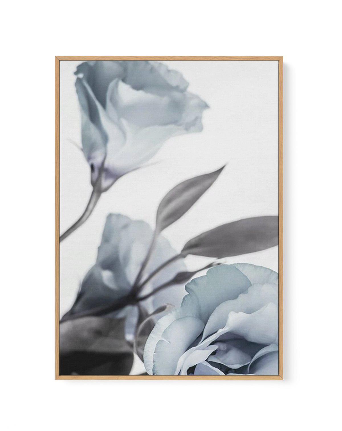 Blue Lisianthus I | Framed Canvas-CANVAS-You can shop wall art online with Olive et Oriel for everything from abstract art to fun kids wall art. Our beautiful modern art prints and canvas art are available from large canvas prints to wall art paintings and our proudly Australian artwork collection offers only the highest quality framed large wall art and canvas art Australia - You can buy fashion photography prints or Hampton print posters and paintings on canvas from Olive et Oriel and have the