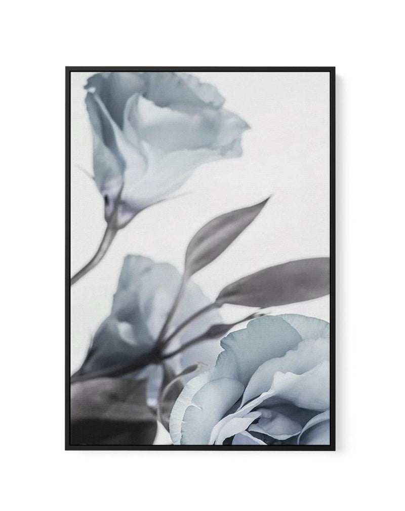 Blue Lisianthus I | Framed Canvas-CANVAS-You can shop wall art online with Olive et Oriel for everything from abstract art to fun kids wall art. Our beautiful modern art prints and canvas art are available from large canvas prints to wall art paintings and our proudly Australian artwork collection offers only the highest quality framed large wall art and canvas art Australia - You can buy fashion photography prints or Hampton print posters and paintings on canvas from Olive et Oriel and have the