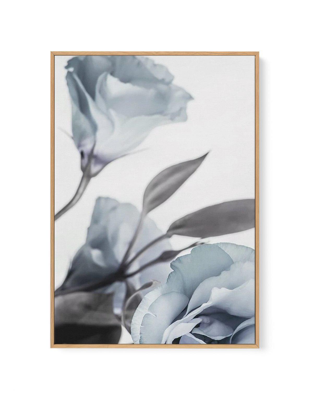 Blue Lisianthus I | Framed Canvas-CANVAS-You can shop wall art online with Olive et Oriel for everything from abstract art to fun kids wall art. Our beautiful modern art prints and canvas art are available from large canvas prints to wall art paintings and our proudly Australian artwork collection offers only the highest quality framed large wall art and canvas art Australia - You can buy fashion photography prints or Hampton print posters and paintings on canvas from Olive et Oriel and have the