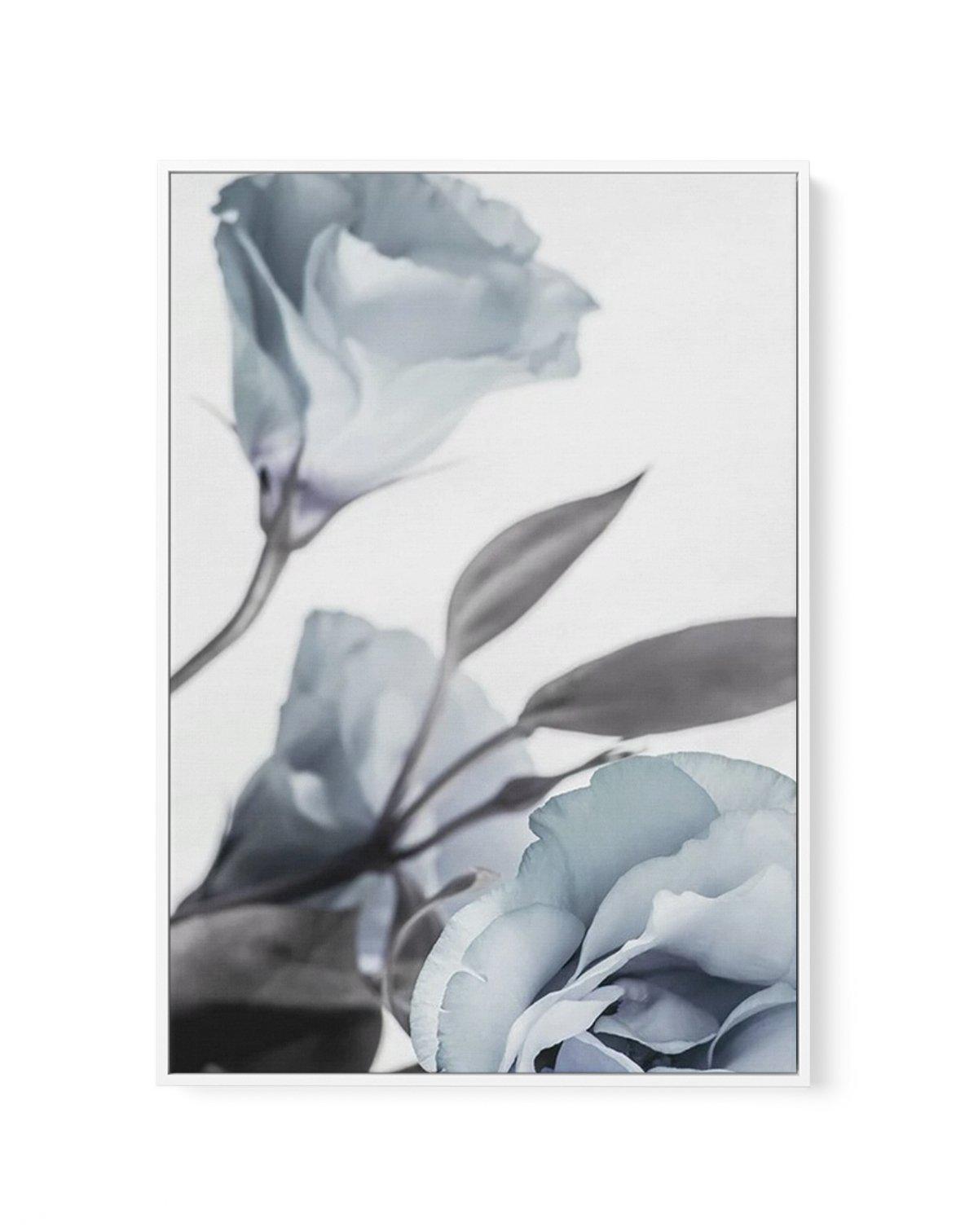 Blue Lisianthus I | Framed Canvas-CANVAS-You can shop wall art online with Olive et Oriel for everything from abstract art to fun kids wall art. Our beautiful modern art prints and canvas art are available from large canvas prints to wall art paintings and our proudly Australian artwork collection offers only the highest quality framed large wall art and canvas art Australia - You can buy fashion photography prints or Hampton print posters and paintings on canvas from Olive et Oriel and have the