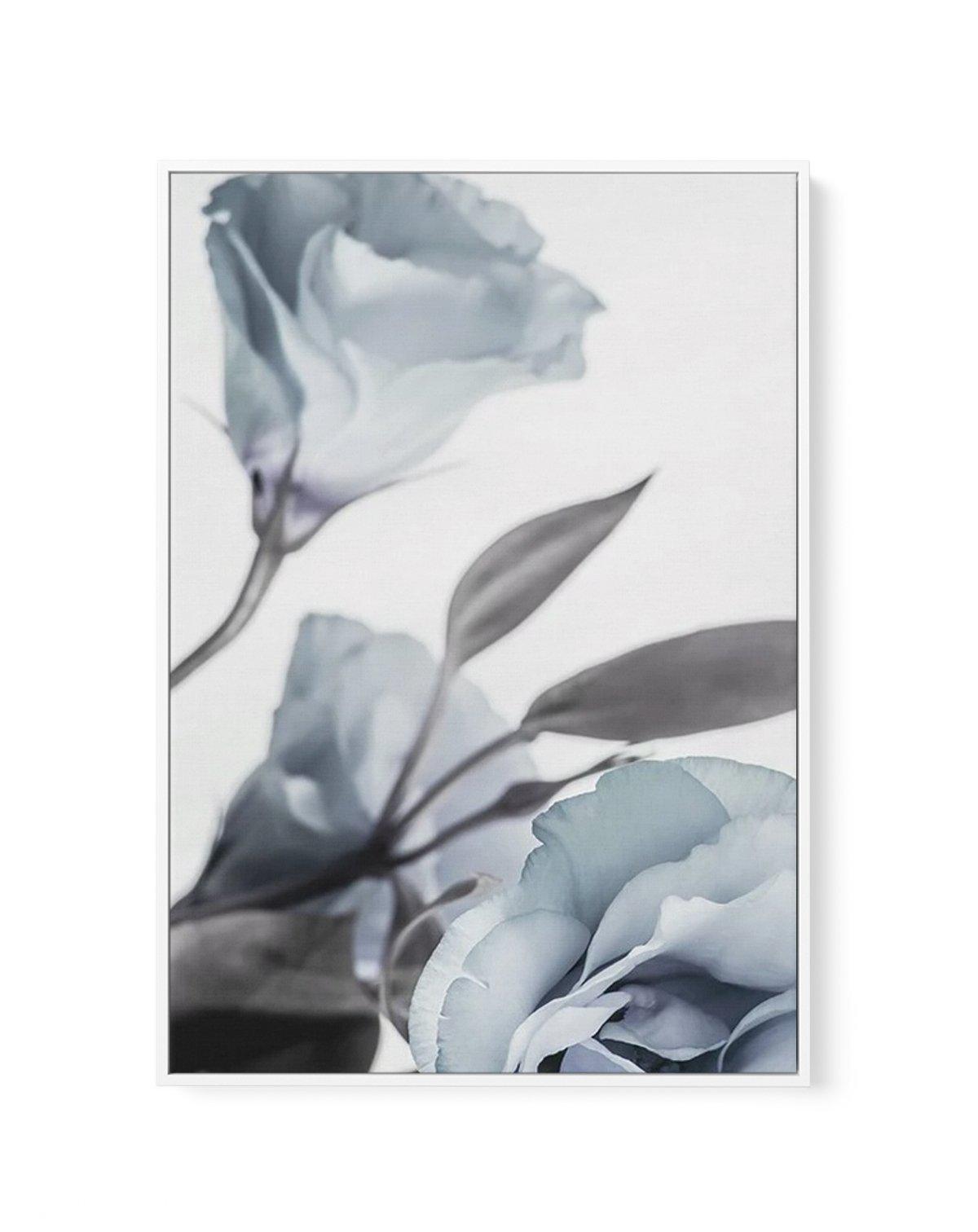 Blue Lisianthus I | Framed Canvas-CANVAS-You can shop wall art online with Olive et Oriel for everything from abstract art to fun kids wall art. Our beautiful modern art prints and canvas art are available from large canvas prints to wall art paintings and our proudly Australian artwork collection offers only the highest quality framed large wall art and canvas art Australia - You can buy fashion photography prints or Hampton print posters and paintings on canvas from Olive et Oriel and have the