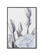 Blue Lisianthus II | Framed Canvas-CANVAS-You can shop wall art online with Olive et Oriel for everything from abstract art to fun kids wall art. Our beautiful modern art prints and canvas art are available from large canvas prints to wall art paintings and our proudly Australian artwork collection offers only the highest quality framed large wall art and canvas art Australia - You can buy fashion photography prints or Hampton print posters and paintings on canvas from Olive et Oriel and have th
