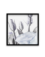 Blue Lisianthus II | SQ Art Print-PRINT-Olive et Oriel-Olive et Oriel-70x70 cm | 27.5" x 27.5"-Black-With White Border-Buy-Australian-Art-Prints-Online-with-Olive-et-Oriel-Your-Artwork-Specialists-Austrailia-Decorate-With-Coastal-Photo-Wall-Art-Prints-From-Our-Beach-House-Artwork-Collection-Fine-Poster-and-Framed-Artwork