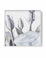 Blue Lisianthus II SQ | Framed Canvas-CANVAS-You can shop wall art online with Olive et Oriel for everything from abstract art to fun kids wall art. Our beautiful modern art prints and canvas art are available from large canvas prints to wall art paintings and our proudly Australian artwork collection offers only the highest quality framed large wall art and canvas art Australia - You can buy fashion photography prints or Hampton print posters and paintings on canvas from Olive et Oriel and have