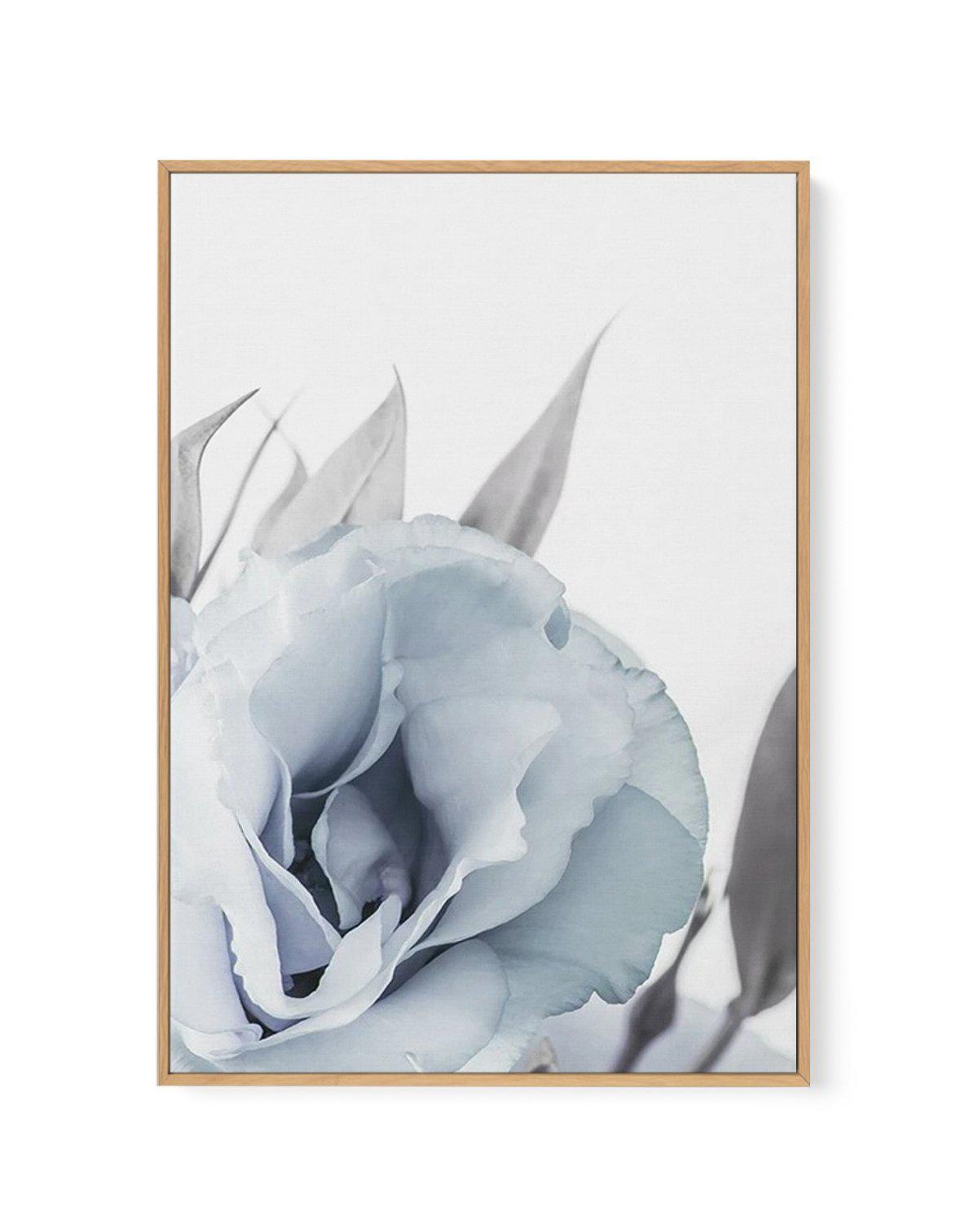 Blue Lisianthus III | Framed Canvas-CANVAS-You can shop wall art online with Olive et Oriel for everything from abstract art to fun kids wall art. Our beautiful modern art prints and canvas art are available from large canvas prints to wall art paintings and our proudly Australian artwork collection offers only the highest quality framed large wall art and canvas art Australia - You can buy fashion photography prints or Hampton print posters and paintings on canvas from Olive et Oriel and have t