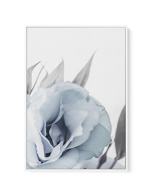 Blue Lisianthus III | Framed Canvas-CANVAS-You can shop wall art online with Olive et Oriel for everything from abstract art to fun kids wall art. Our beautiful modern art prints and canvas art are available from large canvas prints to wall art paintings and our proudly Australian artwork collection offers only the highest quality framed large wall art and canvas art Australia - You can buy fashion photography prints or Hampton print posters and paintings on canvas from Olive et Oriel and have t
