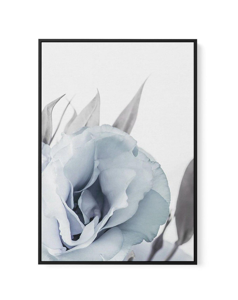 Blue Lisianthus III | Framed Canvas-CANVAS-You can shop wall art online with Olive et Oriel for everything from abstract art to fun kids wall art. Our beautiful modern art prints and canvas art are available from large canvas prints to wall art paintings and our proudly Australian artwork collection offers only the highest quality framed large wall art and canvas art Australia - You can buy fashion photography prints or Hampton print posters and paintings on canvas from Olive et Oriel and have t