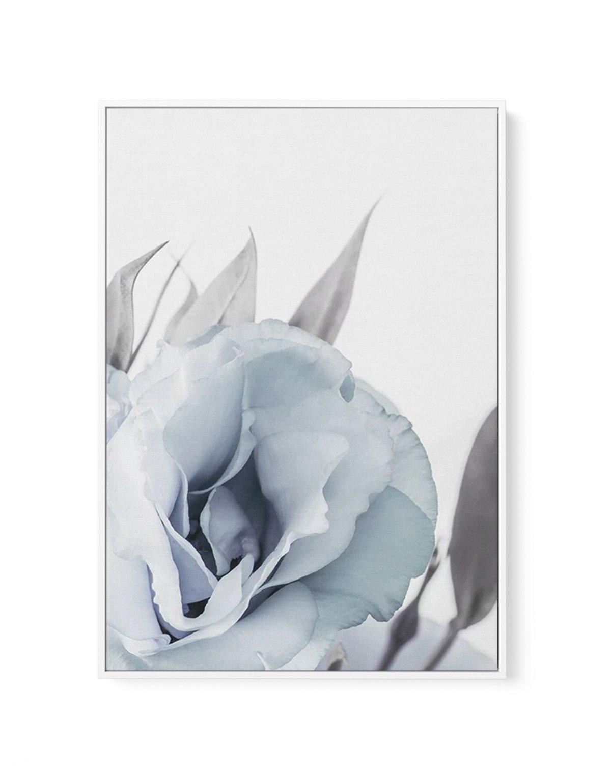 Blue Lisianthus III | Framed Canvas-CANVAS-You can shop wall art online with Olive et Oriel for everything from abstract art to fun kids wall art. Our beautiful modern art prints and canvas art are available from large canvas prints to wall art paintings and our proudly Australian artwork collection offers only the highest quality framed large wall art and canvas art Australia - You can buy fashion photography prints or Hampton print posters and paintings on canvas from Olive et Oriel and have t