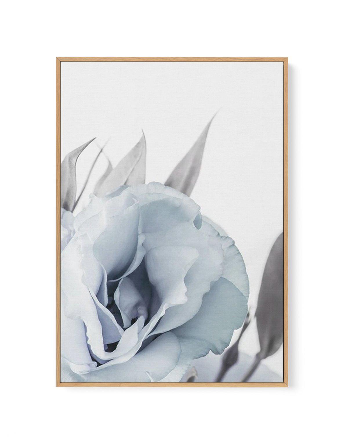 Blue Lisianthus III | Framed Canvas-CANVAS-You can shop wall art online with Olive et Oriel for everything from abstract art to fun kids wall art. Our beautiful modern art prints and canvas art are available from large canvas prints to wall art paintings and our proudly Australian artwork collection offers only the highest quality framed large wall art and canvas art Australia - You can buy fashion photography prints or Hampton print posters and paintings on canvas from Olive et Oriel and have t