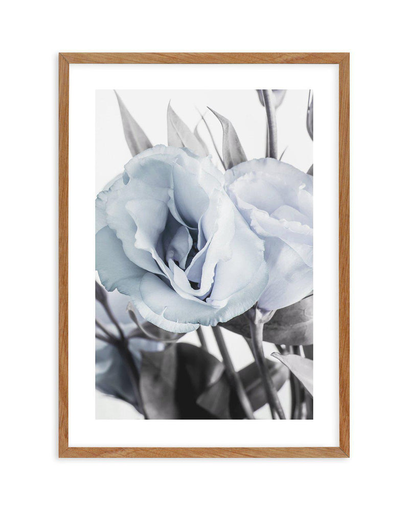 Blue Lisianthus IV Art Print-PRINT-Olive et Oriel-Olive et Oriel-50x70 cm | 19.6" x 27.5"-Walnut-With White Border-Buy-Australian-Art-Prints-Online-with-Olive-et-Oriel-Your-Artwork-Specialists-Austrailia-Decorate-With-Coastal-Photo-Wall-Art-Prints-From-Our-Beach-House-Artwork-Collection-Fine-Poster-and-Framed-Artwork